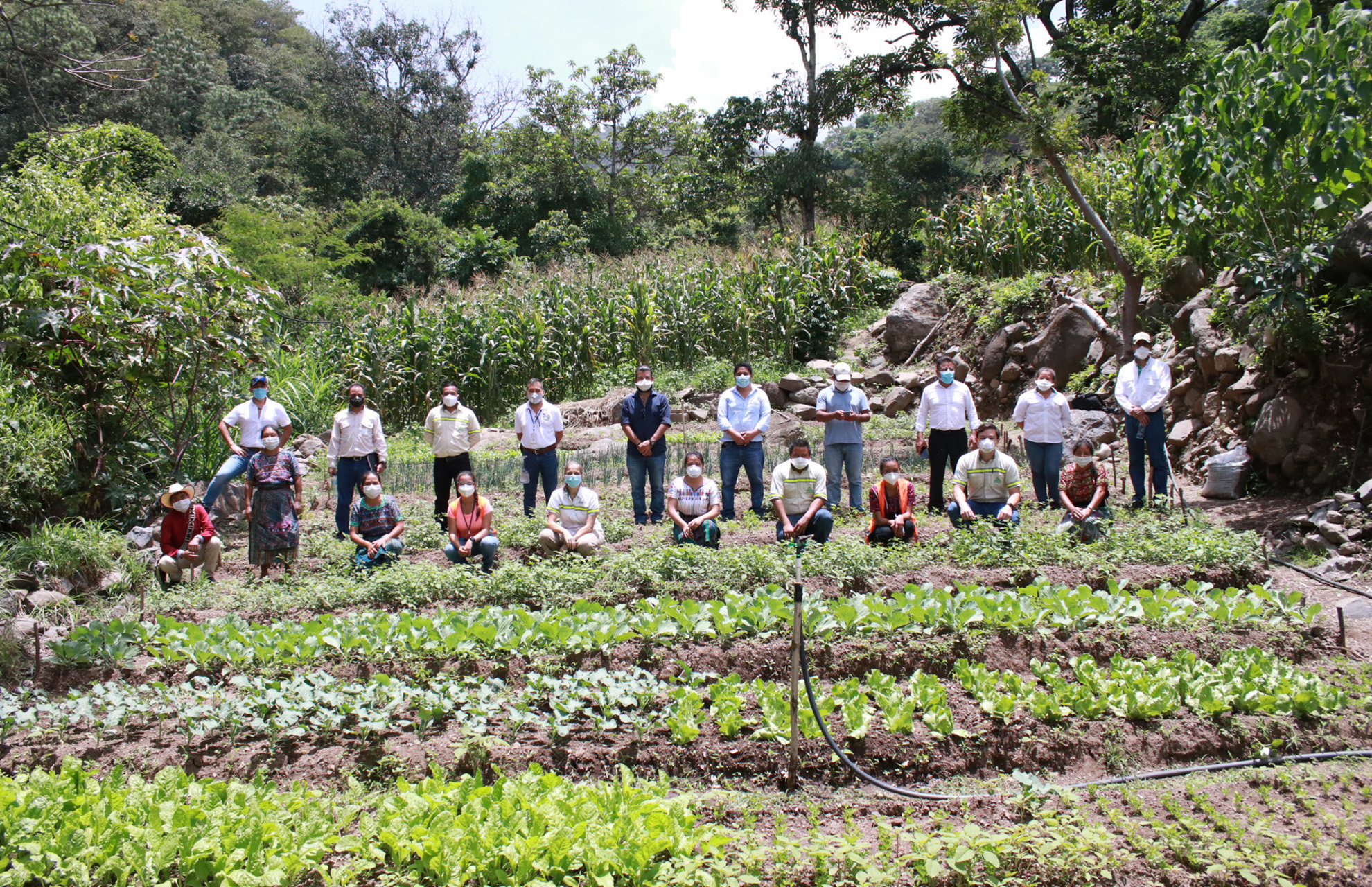 Las hortalizas sembradas en los jardines vegetales son: cilantro, apio, cebolla, acelga, remolacha, espinaca, coliflor, repollo, brócoli, lechuga, rábano y macuy.