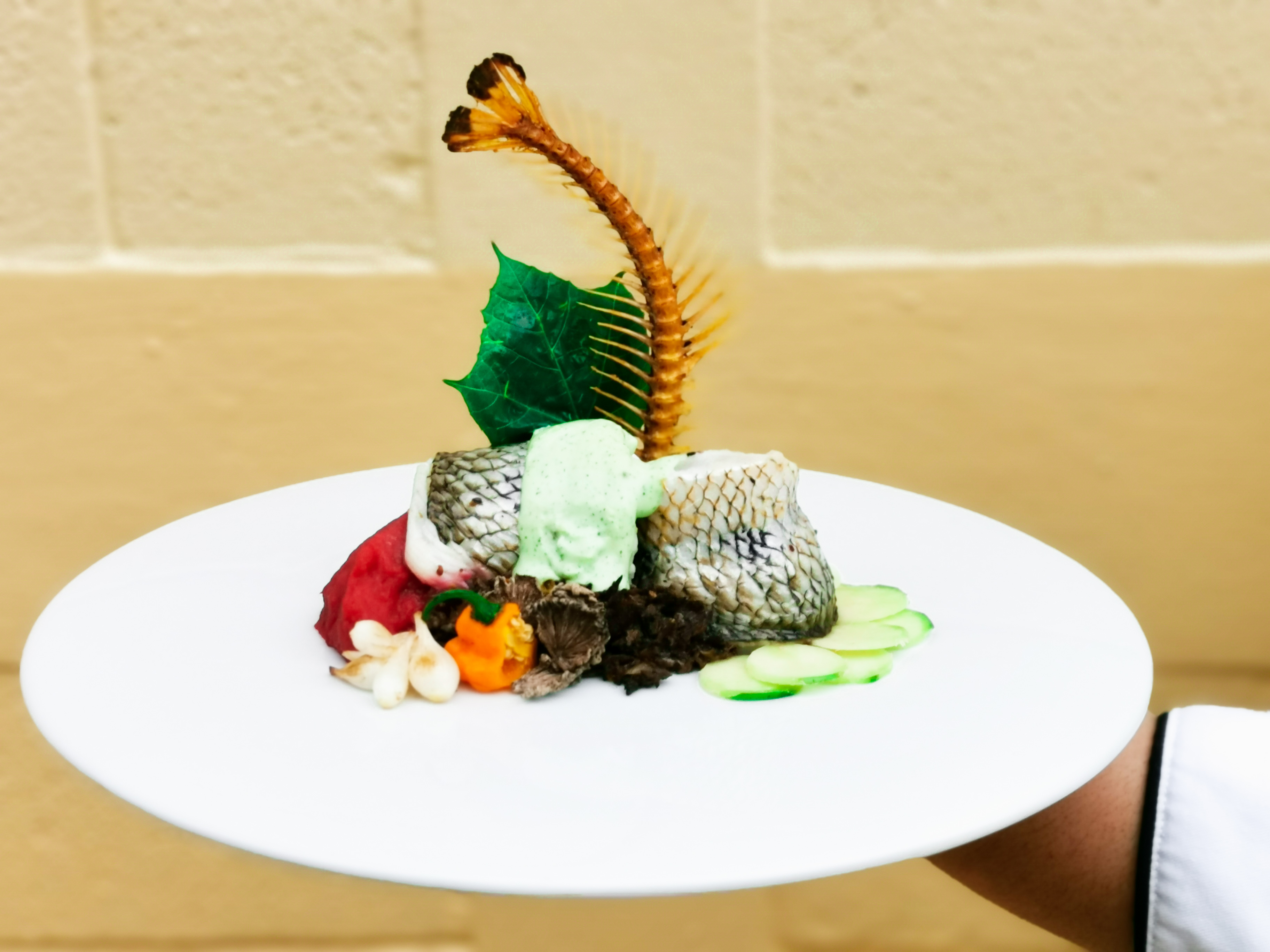 El platillo Sabores de mi Petén, de la chef Vivian Pérez es preparado con pescado blanco, hongo   tzquincheé, hoja de chaya y jocote mico, entre otros. (Foto Prensa Libre, cortesía de Vivian Pérez)