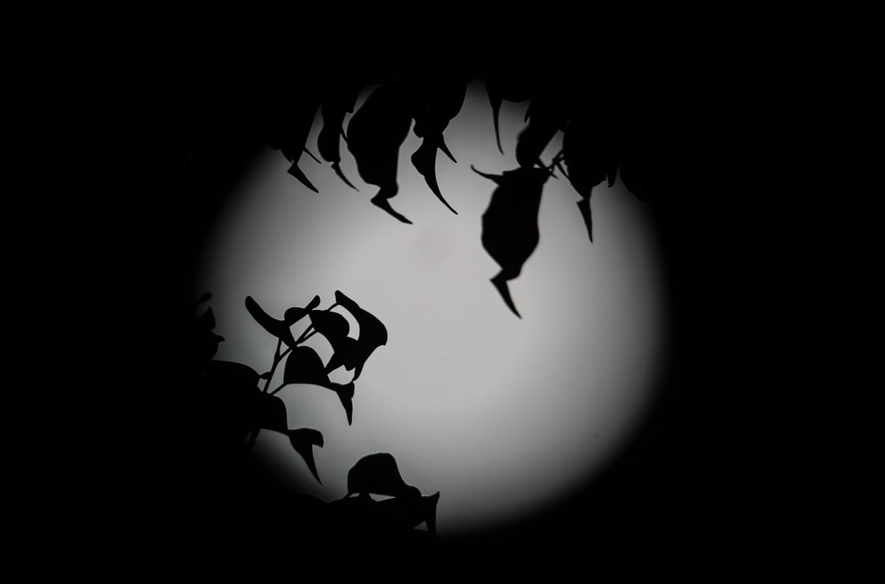 En varios sectores de la Ciudad de Guatemala se puede apreciar la Luna Azul. (Foto Prensa Libre. Keneth Cruz)