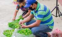 Pequeños productores de diferentes regiones del país recibieron pilones para sembrar huertos familiares con el objetivo de mejorar su calidad de vida. (Foto Prensa Libre: Agrequima)