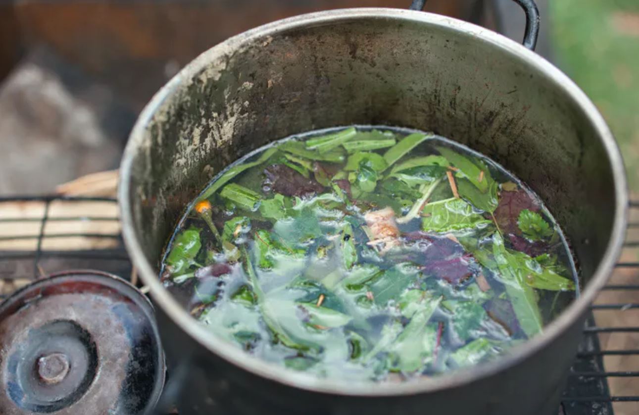Preparación de infusión de ayahuasca.
Shutterstock / Dana Toerien