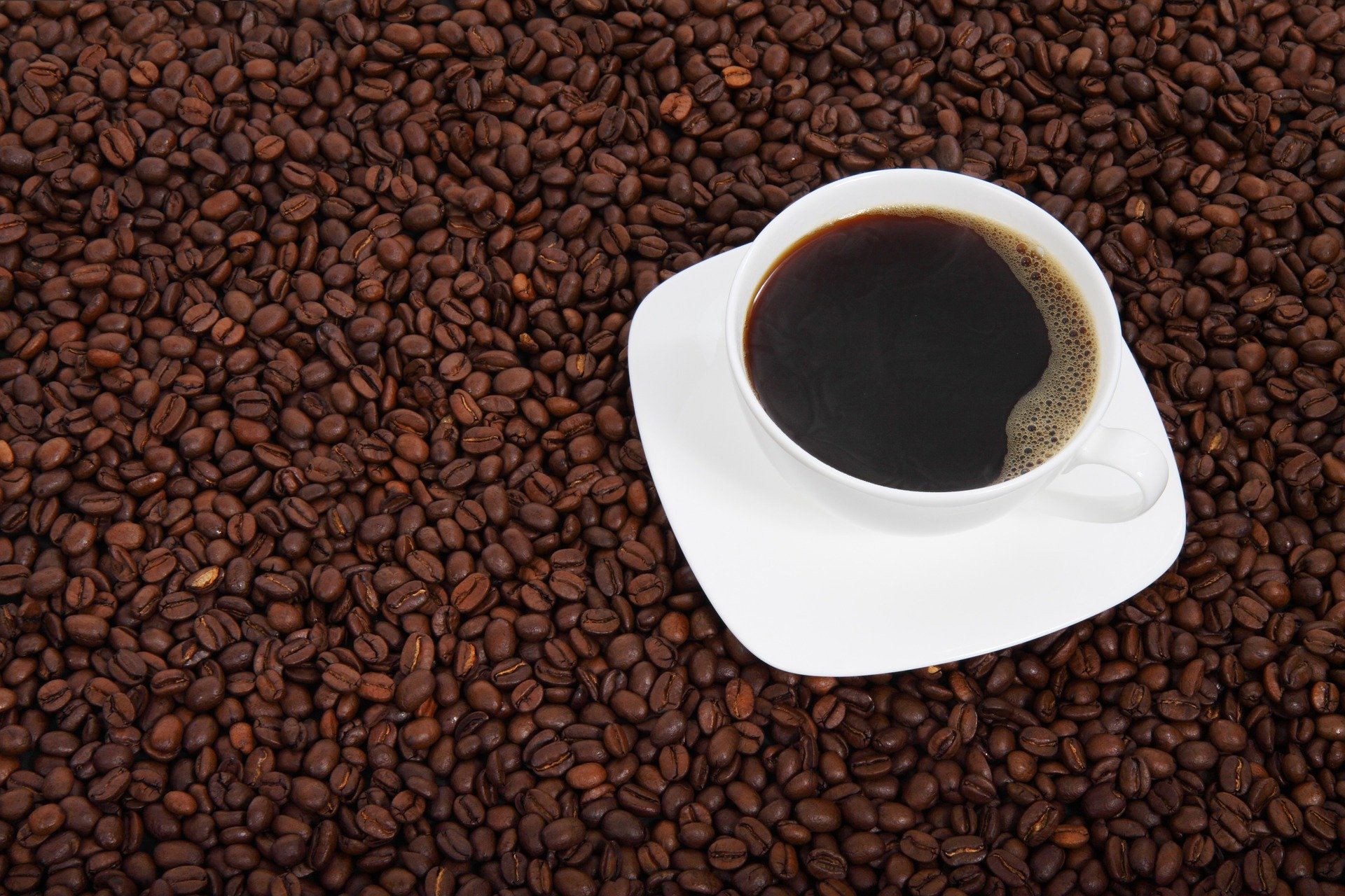 El 1 de octubre se celebra el Día Internacional del Café. (Foto Prensa Libre: Pixabay)