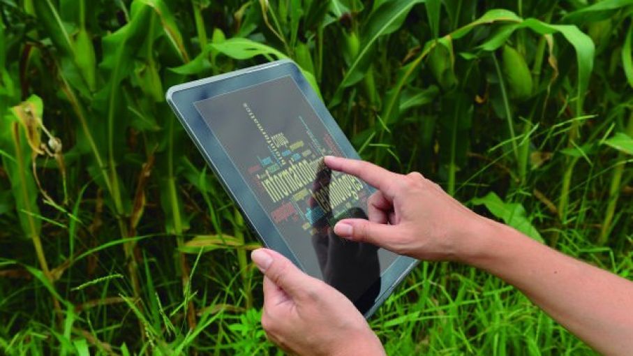Los beneficios de la conectividad se reflejan en mejoras de buenas prácticas agrícolas, traslado de conocimientos, acceso a educación y salud. (Foto Prensa Libre: Shutterstock)
