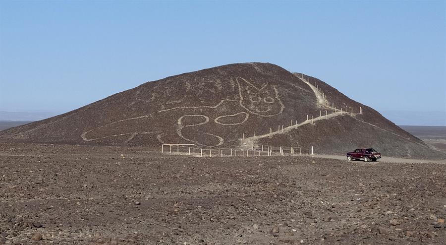 Fotografía cedida por el Ministerio de Cultura de Perú, de la figura de un gato de unos 37 metros de largo reposando sobre una colina arenosa en la Pampa de Nazca. (Foto Prensa Libre: EFE)