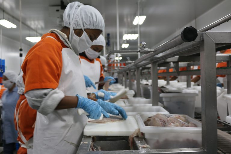 Coronavirus: cómo el camarón guatemalteco de exportación salió a flote de la pandemia