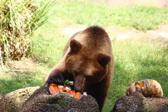 (Foto Prensa Libre: Fernando Cabrera)