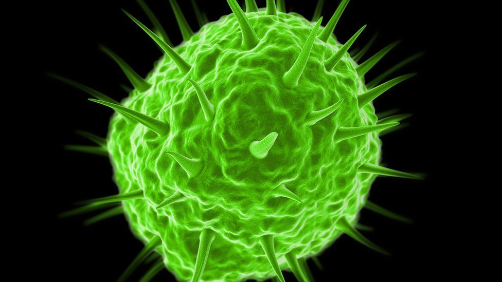 Los pandoravirus, incluidos dentro del grupo de virus gigantes, contienen muchos más genes que un virus normal.