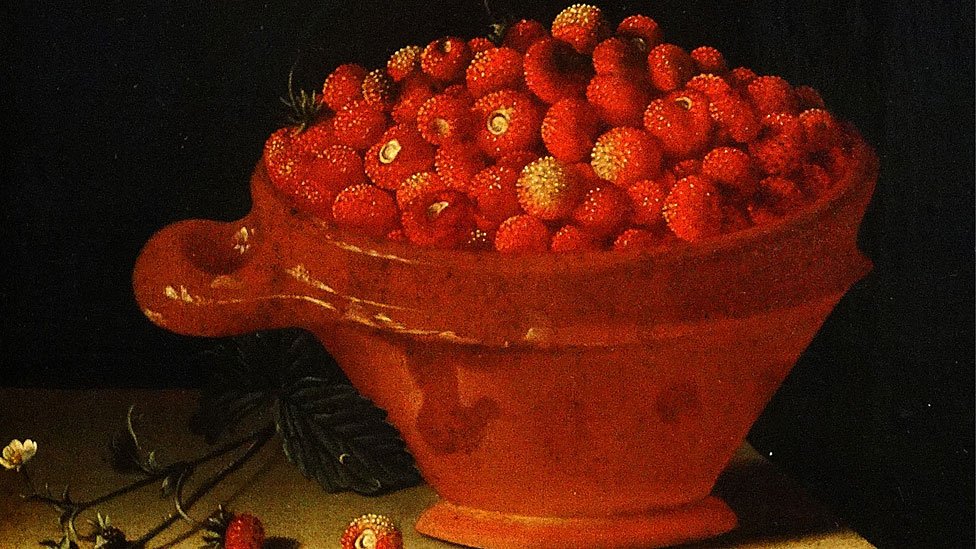 A pesar de los siglos de domesticación, las fresas europeas seguían siendo un pequeño manjar en 1711. Pero en una franja entre los Andes y el Pacífico, los indígenas llevaban casi mil años cultivándolas y engrandeciéndolas.