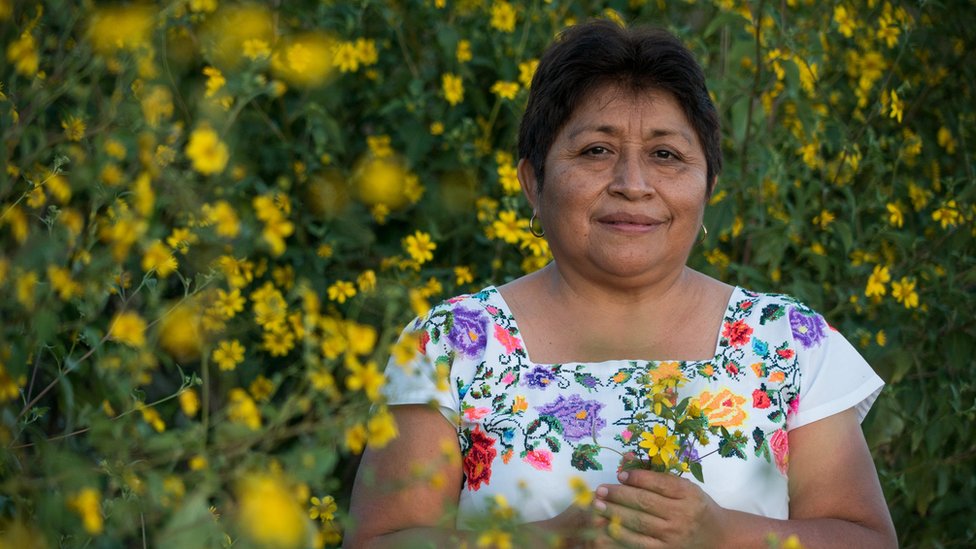 Leydy Pech tiene 55 años y vive de la apicultura.
