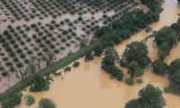 Vista aérea de las inundaciones en Morales, Izabal. (Foto Prensa Libre: Juan Diego González)
