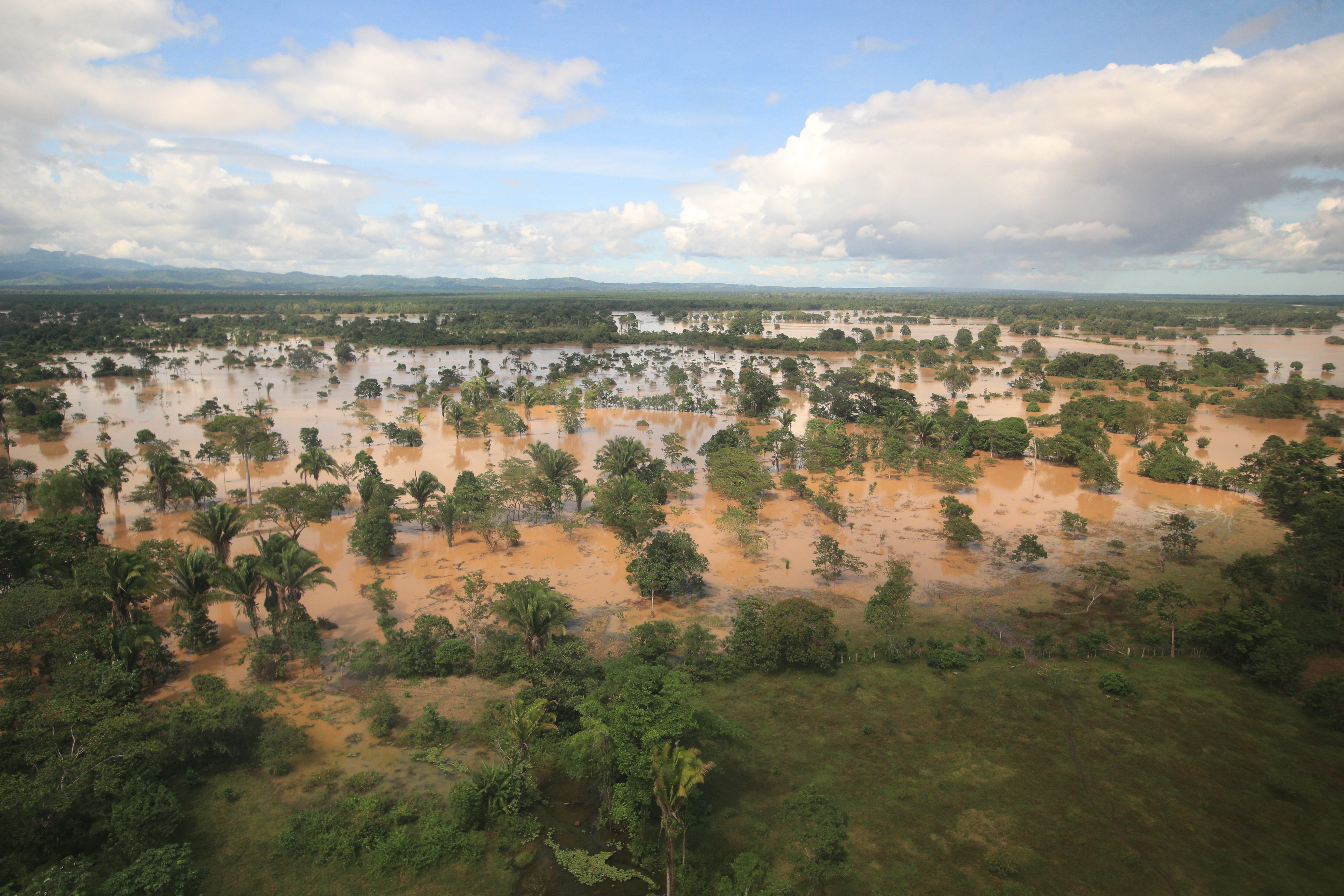 Grandes plantaciones siguen inundadas. (Foto: Carlos Hernández)