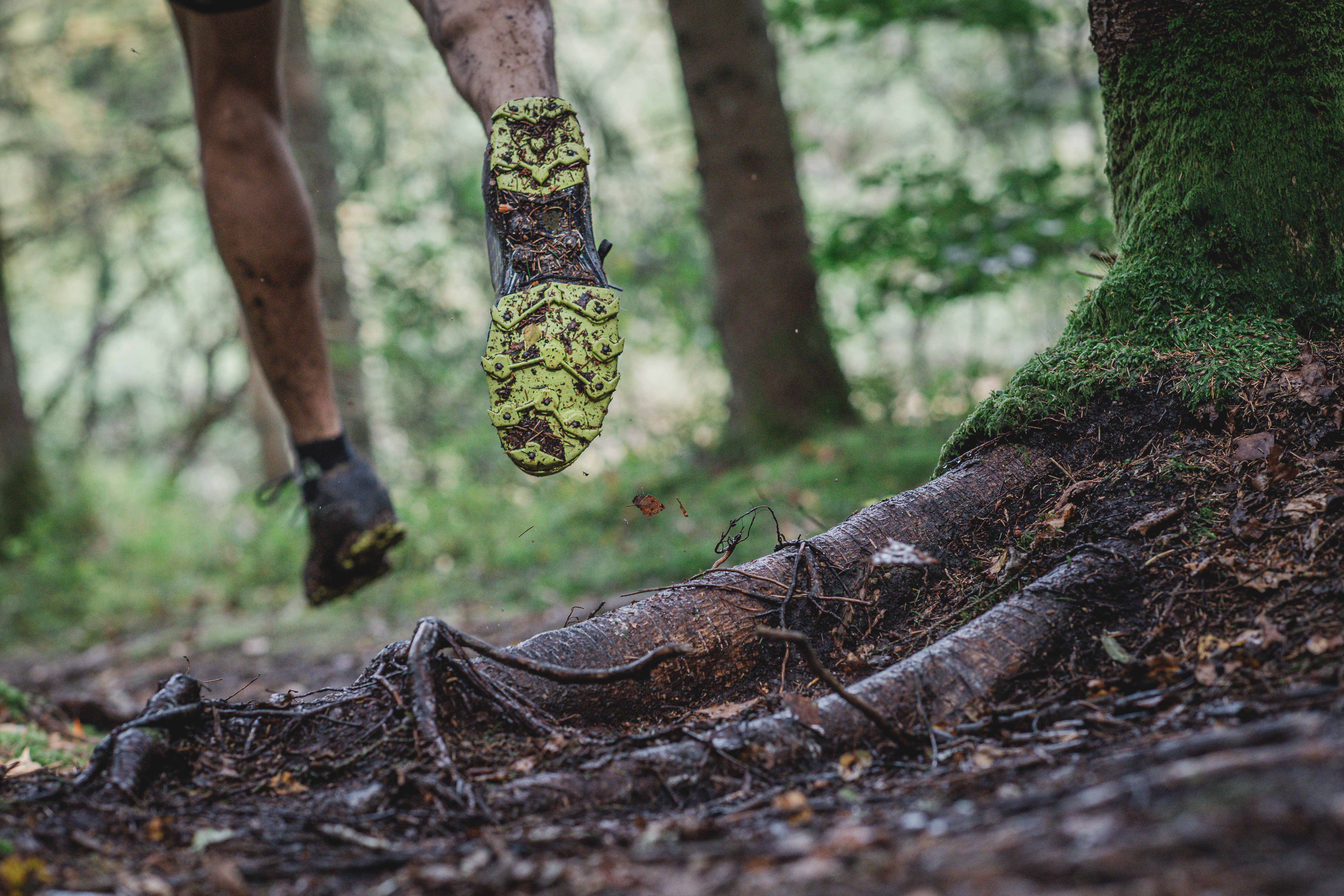 Correr por senderos atravesados por raíces de árboles significa un desafío mucho mayor para el cerebro que el recorrido sobre superficies planas. Foto Prensa Libre: Icebug/dpa 