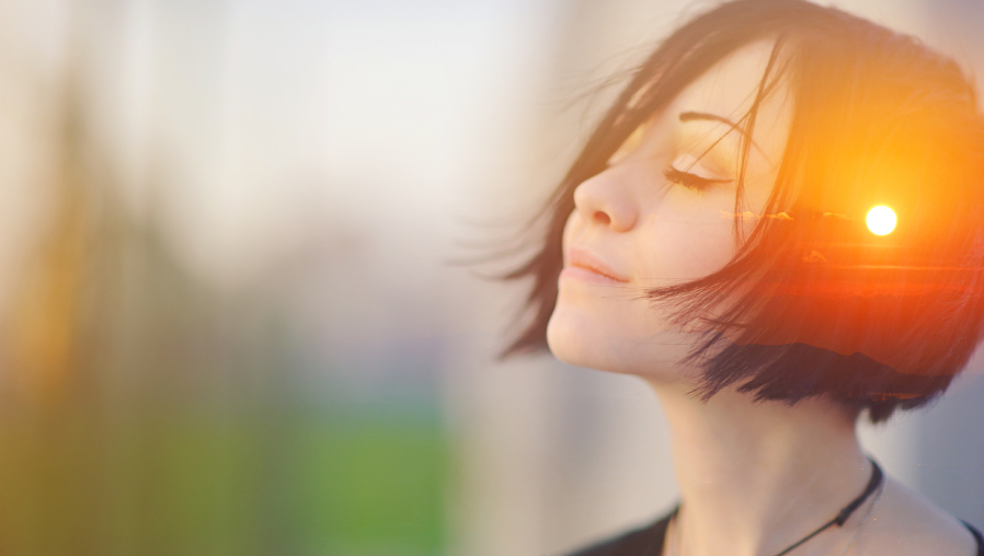 Shutterstock / sun ok