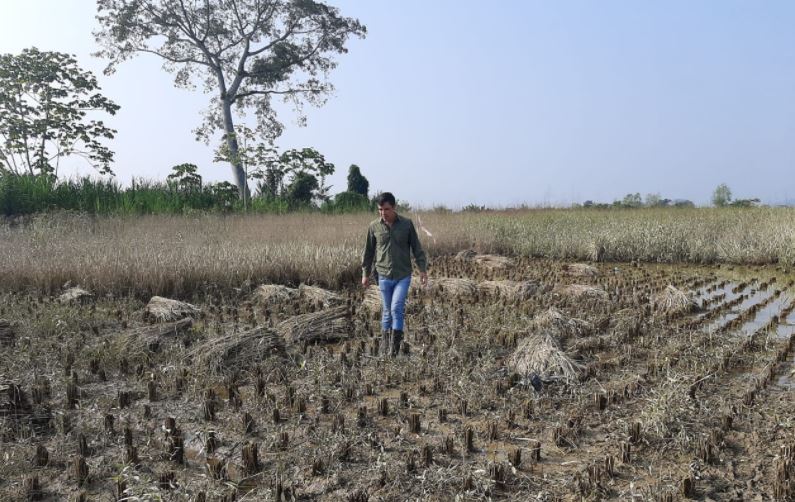 Los daños que dejaron las tormentas tropicales Eta e Iota en al agricultura son numerosos; los campesinos de infrasubsistencia necesitan ayuda.  (Foto  Maga)