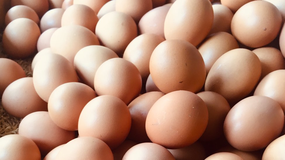 8 datos fascinantes que quizás no conocías sobre los huevos, uno de los alimentos más nutritivos del mundo