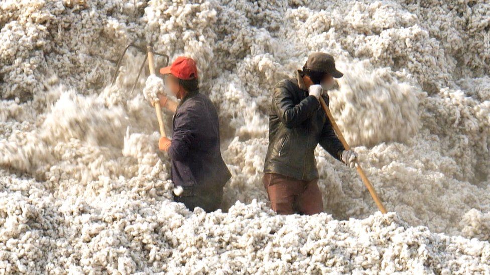 Más de un millón de trabajadores realizan duros trabajos de recolección de algodón en Xinjiang bajo condiciones cuestionables. (Foto Prensa Libre: BBC)