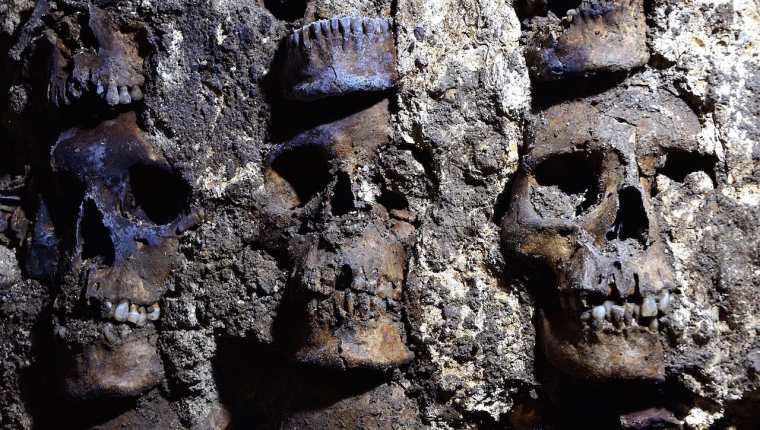 Al menos 119 cráneos forman una torre del imperio Azteca. (Foto Prensa Libre: EFP)
