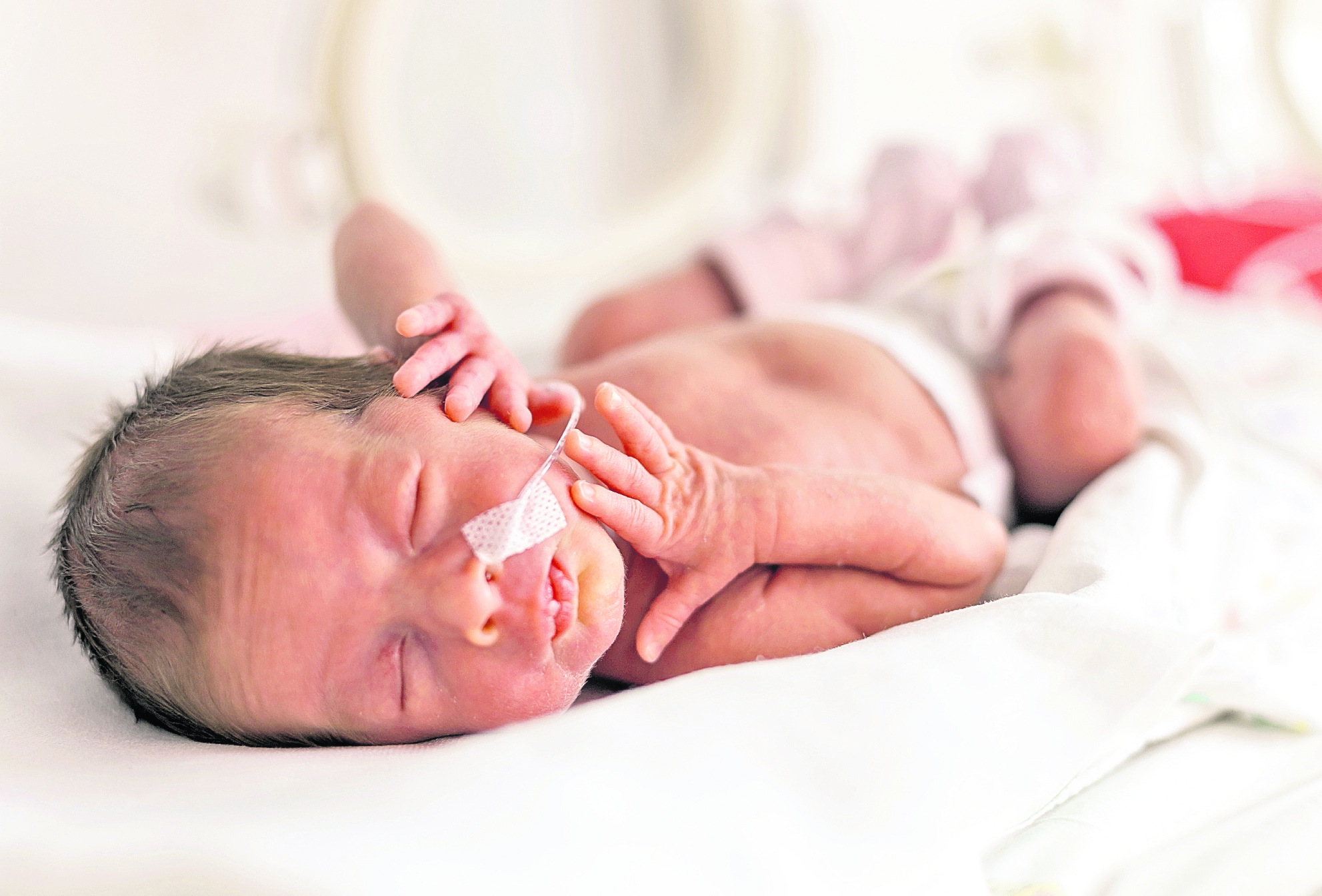 shutterstock
Los bebés que nacen entre la semana 35 y 37 presentan menos posibilidades de tener complicaciones con su salud. (Foto Prensa Libre: Shutterstock).