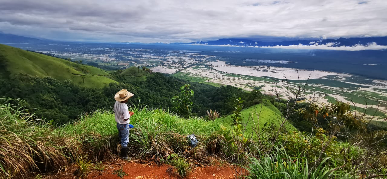 Un productor de arroz observa parte de la zona dañada por las inundaciones generadas por las tormentas incluyendo áreas dedicadas al cultivo de arroz. (Foto, Prensa Libre: Arrozgua).