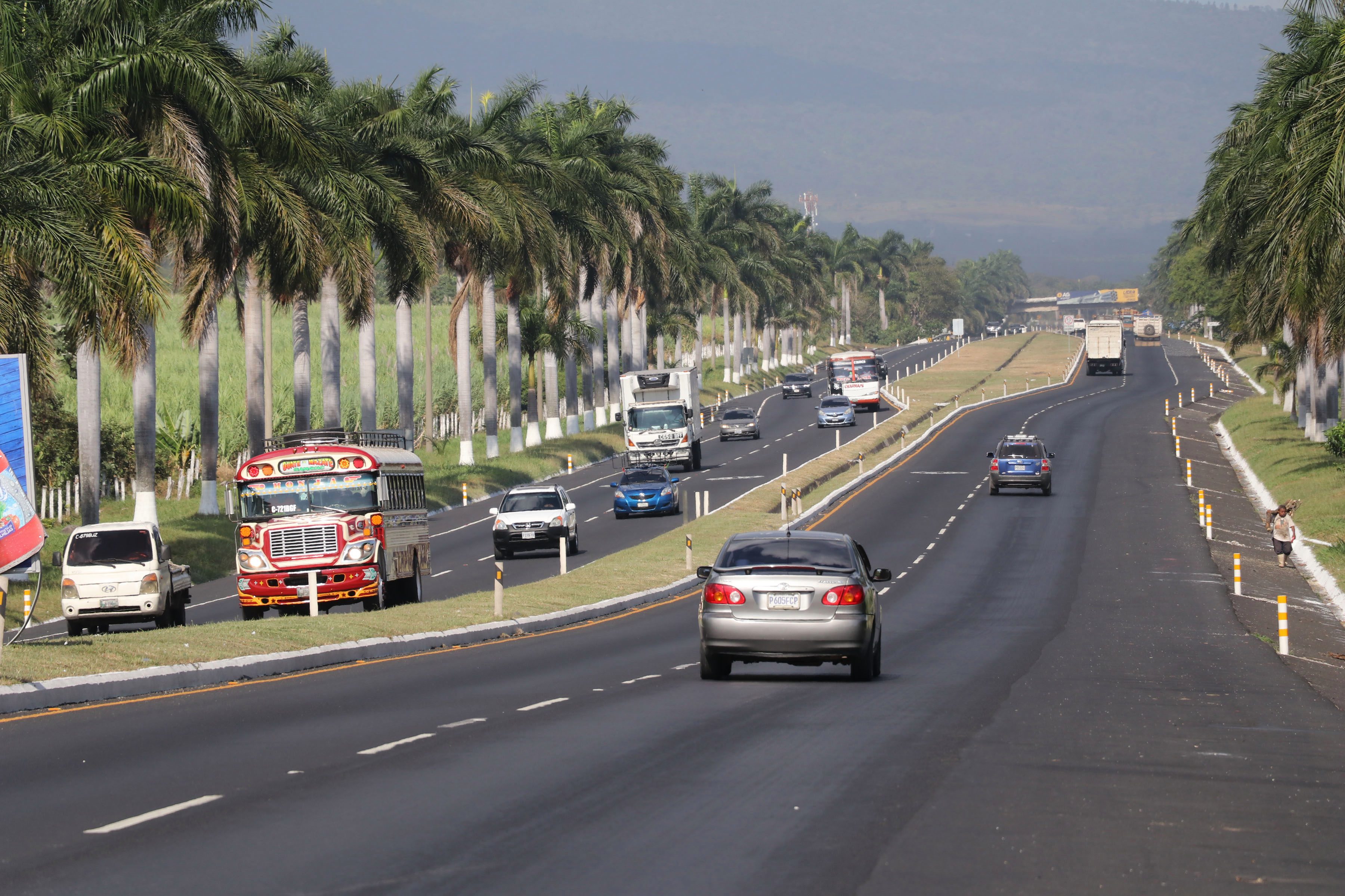 Si se toman las decisiones correctas en infraestructura, logística y servicios, Segal indica que el país podría cambiar el mercado regional. (Foto Prensa Libre: Hemeroteca PL)