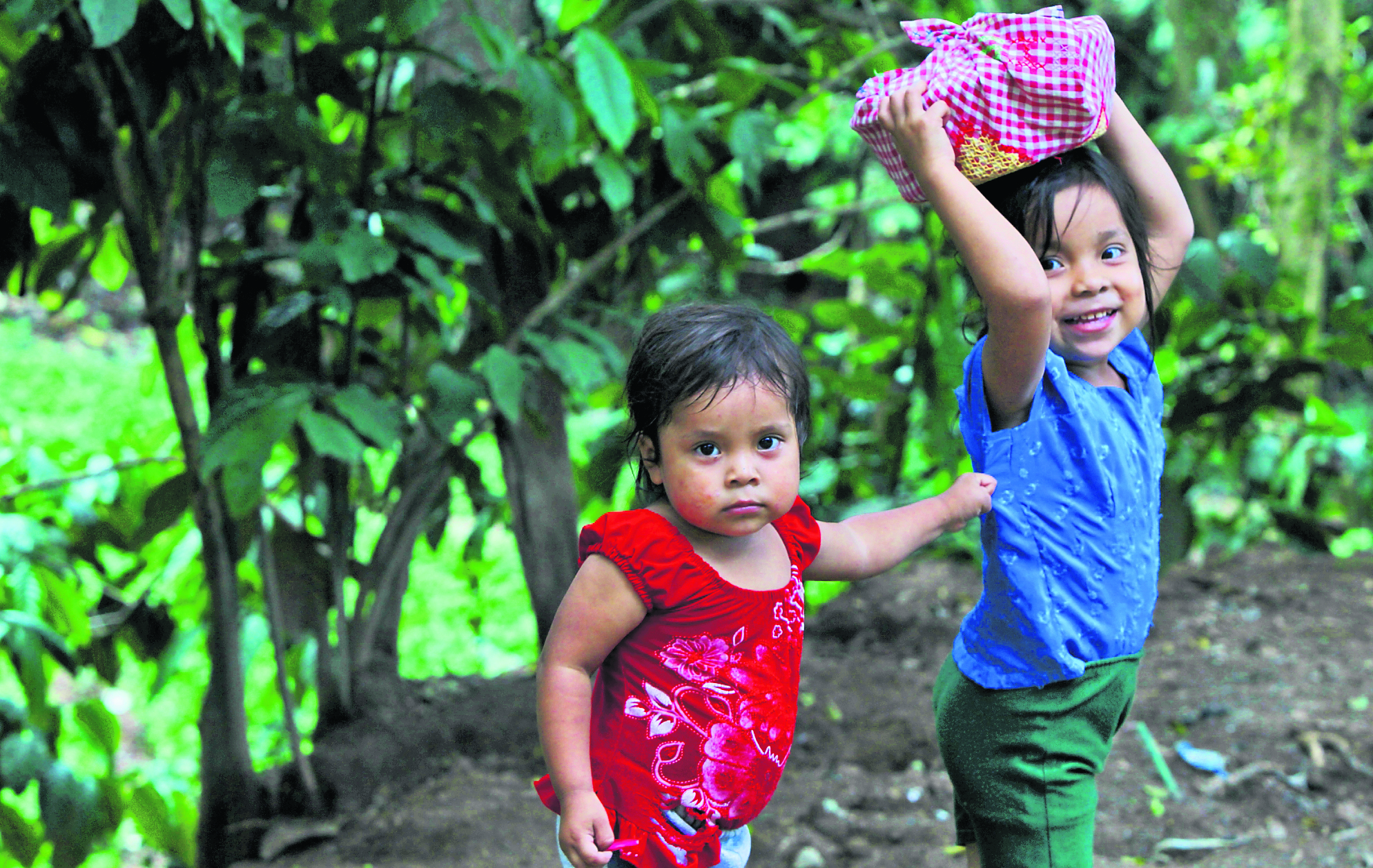 Guatemala ocupa la primera posición de retraso de crecimiento en niños menores de cinco años, entre los países de Latinoamérica. (Foto Prensa Libre: Hemeroteca PL)