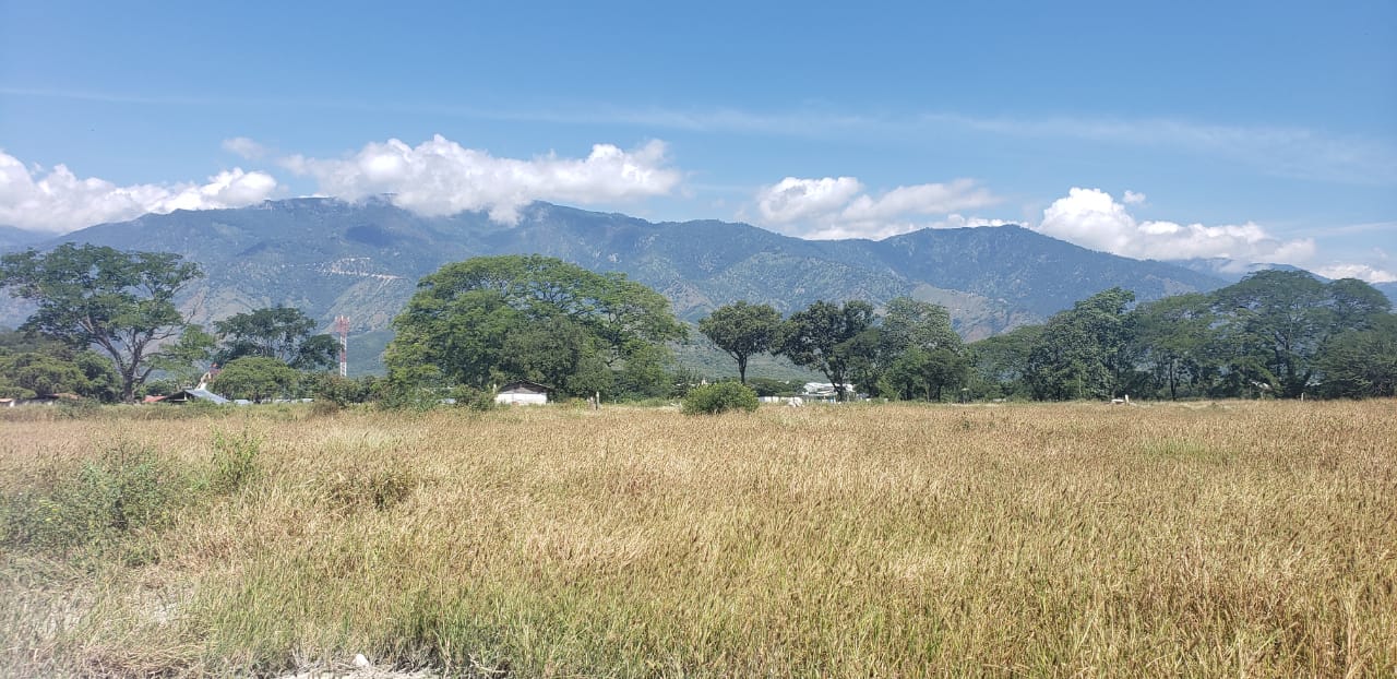 En ésta área en Río Hondo, Zacapa, se instalará la zona de desarrollo económico Miel Verde, refiere Zolic. (Foto, Prensa Libre: Zolic).