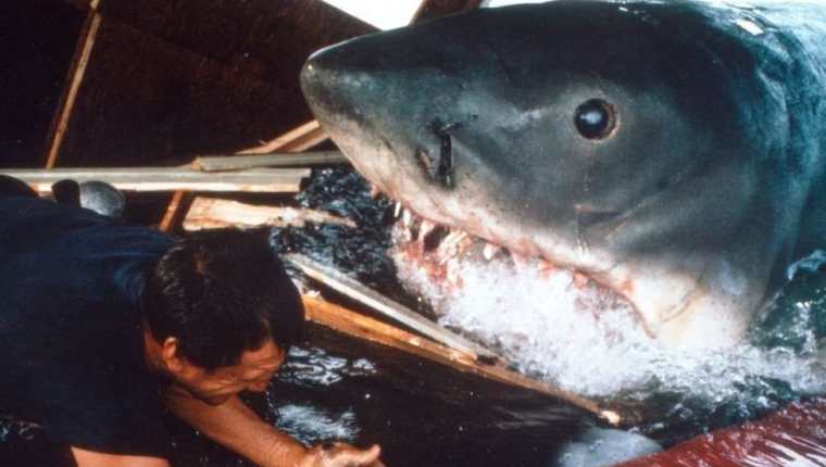 La película "Tiburón", basada en la exitosa novela de Peter Benchley del mismo nombre, tuvo un efecto desastroso en cómo la gente ve a los tiburones.