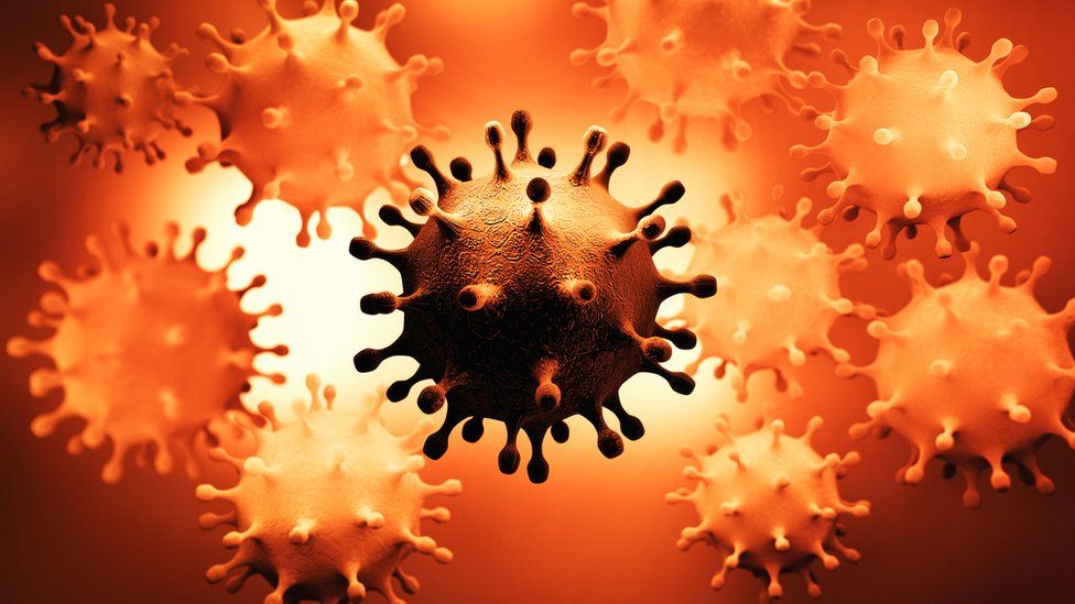 Los virus están en un proceso de mutación constante.
