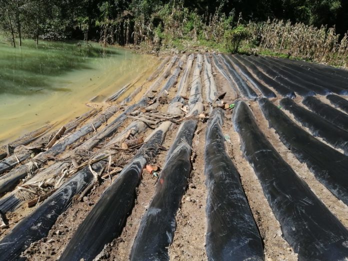 Analistas en suelos consideraron necesario y urgente la asistencia técnica de las instituciones de gobierno para apoyar con la evaluación física y química de los suelos de las áreas afectadas. (Foto Prensa Libre: Cortesía Maga)