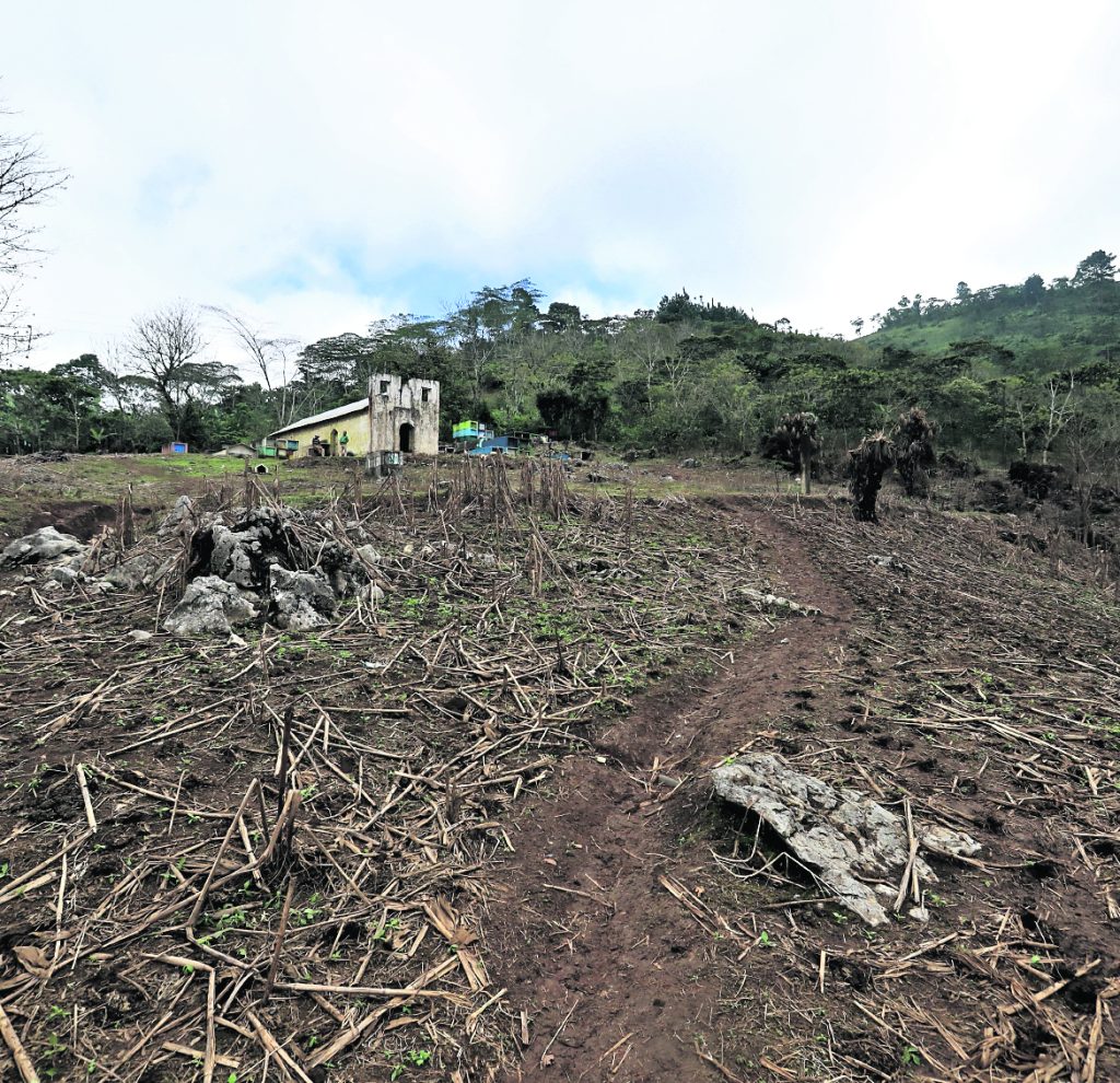 Área en Quixal, en donde el agua subió 20 metros y cubrió el lugar. Las familias perdieron sus cultivos. Foto: Juan Diego González