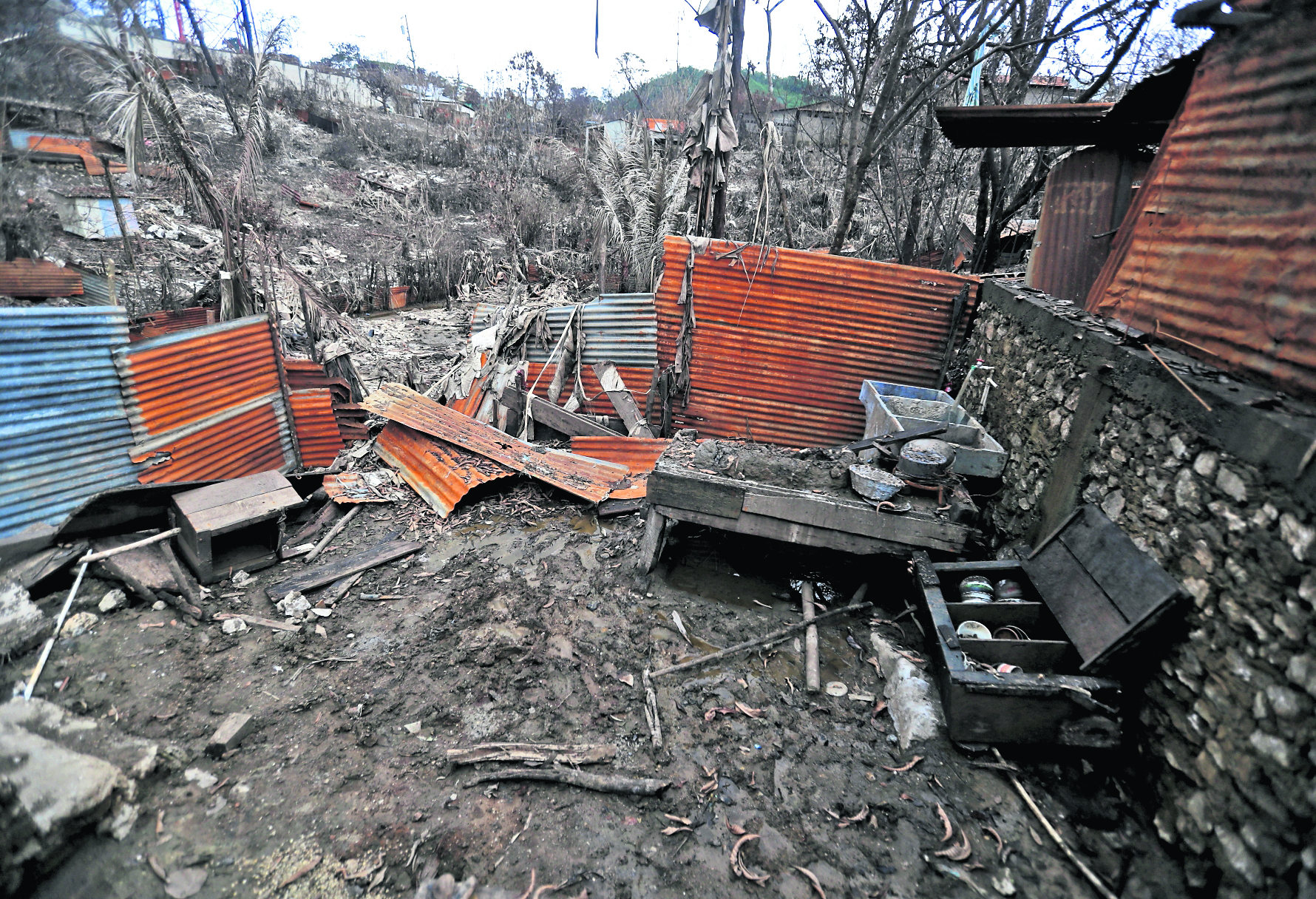Casas destruidas, con  lodo, quedaron en Campur. En la imagen se observa lo que fue una cocina, en una de las viviendas, y al fondo,  árboles y cultivos de maíz totalmente destruidos. Foto: Juan Diego González