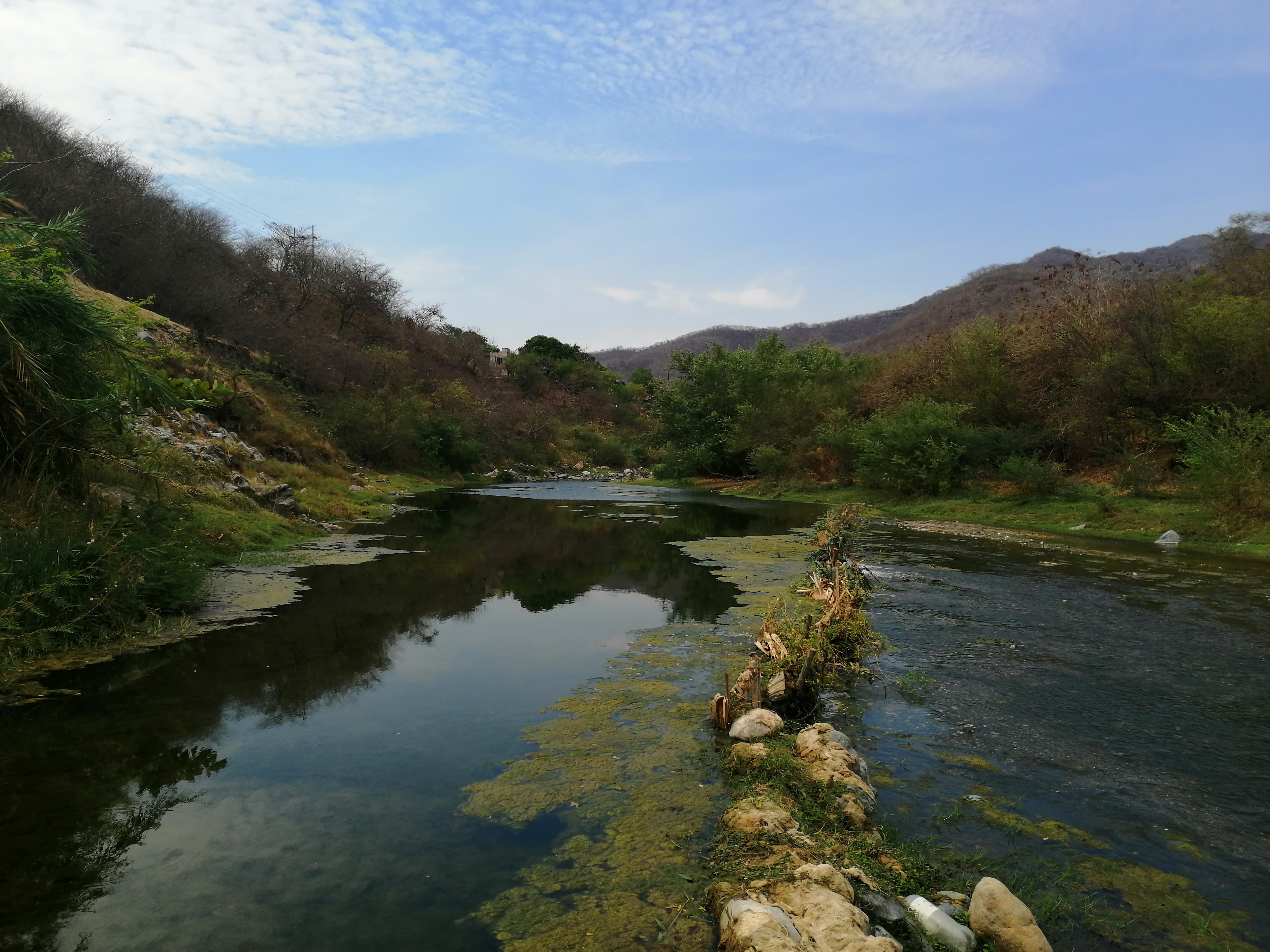 Oriente ofrece una variedad de habitats por su posición geográfica que abarca desde los 2 mil a los 3 mil metros sobre el nivel del mar. 