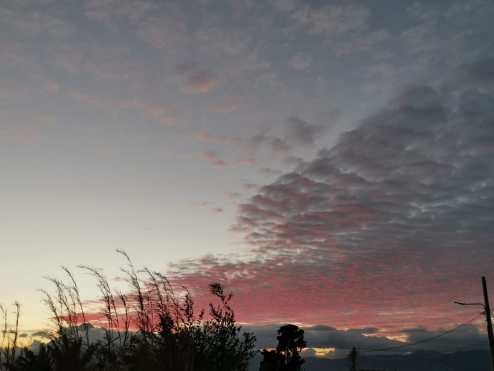 (Foto: Óscar García)