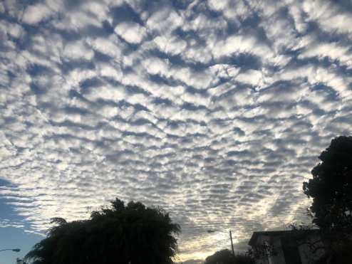 (Foto: Gonzalo Sandoval)