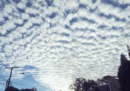 (Foto: Alba Sagastume)