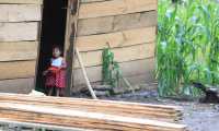 Los pobladores de la aldea Quejá se trasladaron a Chepenal, a unos 40 minutos a pie de donde sucedió el deslave. Las familias han levantado sus casas de madera y lámina para continuar con sus vidas. (Foto Prensa Libre: Juan Diego González)