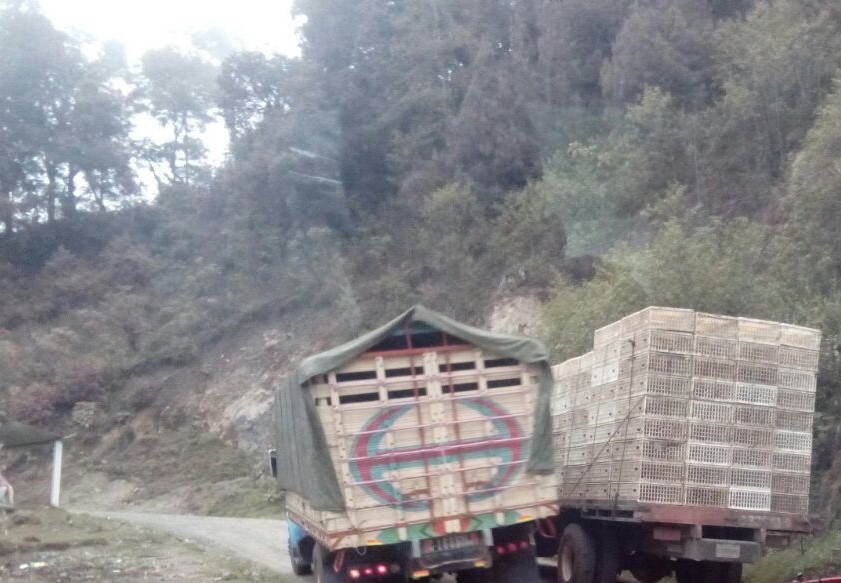 Según investigación del Observatorio Contra el Contrabando así es como circulan los camiones que transportan mercancías de contrabando. (Foto Prensa Libre: Cortesía)