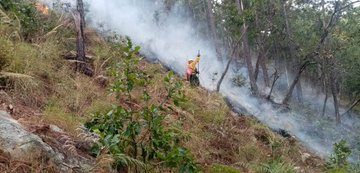Durante febrero se incrementó el número de incendios forestales. (Foto, Prensa Libre: Conred).