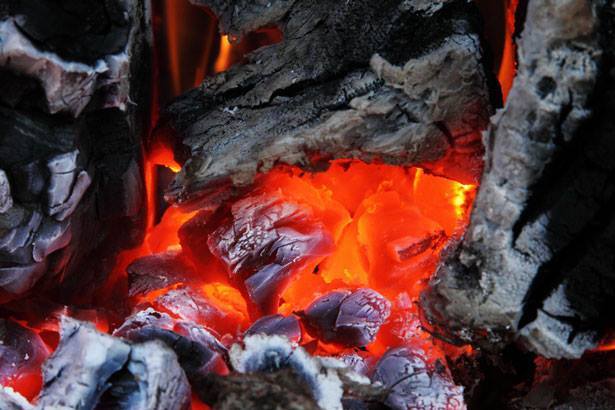 Carbón nativo, el combustible vegetal que salta del bosque a la parrilla