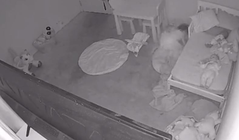 Supuesta actividad paranormal que percibe la niña quedó grabada en video. (Foto Prensa Libre: Tomada de TikTok)