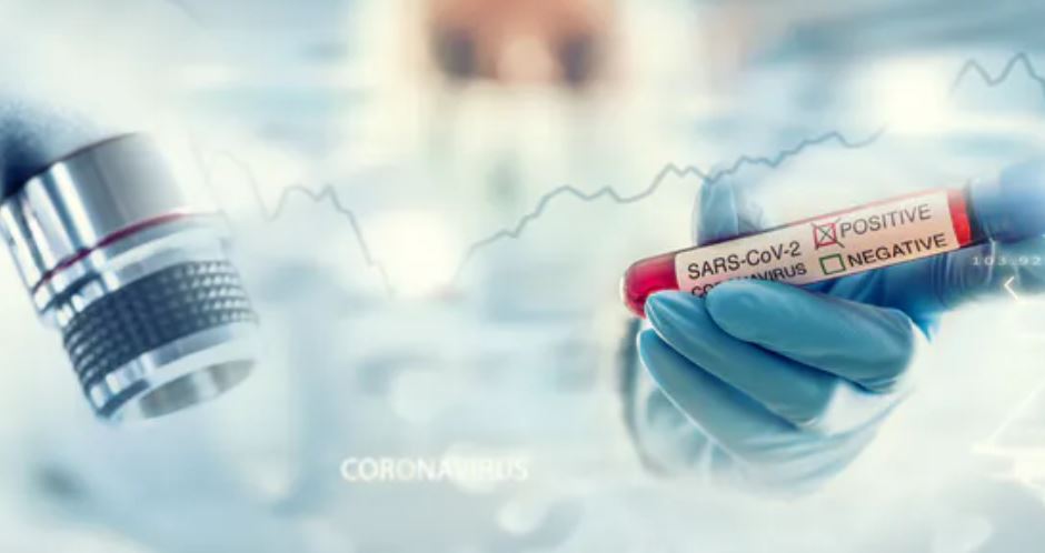 Shutterstock / Marian Weyo