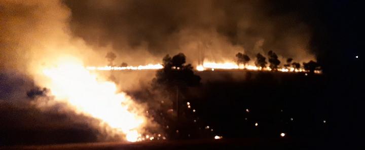 Incendio en campos municipales de Cantel. Foto: María José Longo