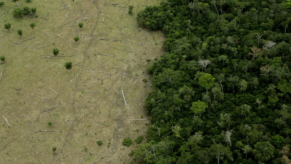 La venta ilegal de tierras es un problema en toda la Amazonía.