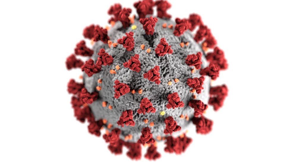 Cientos de miles de genomas del virus están siendo analizados alrededor del mundo. (GETTY IMAGES)
