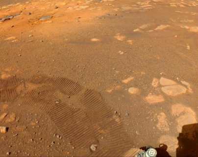Perseverance en Marte: por qué sería una buena noticia que no descubriera vida en el planeta rojo