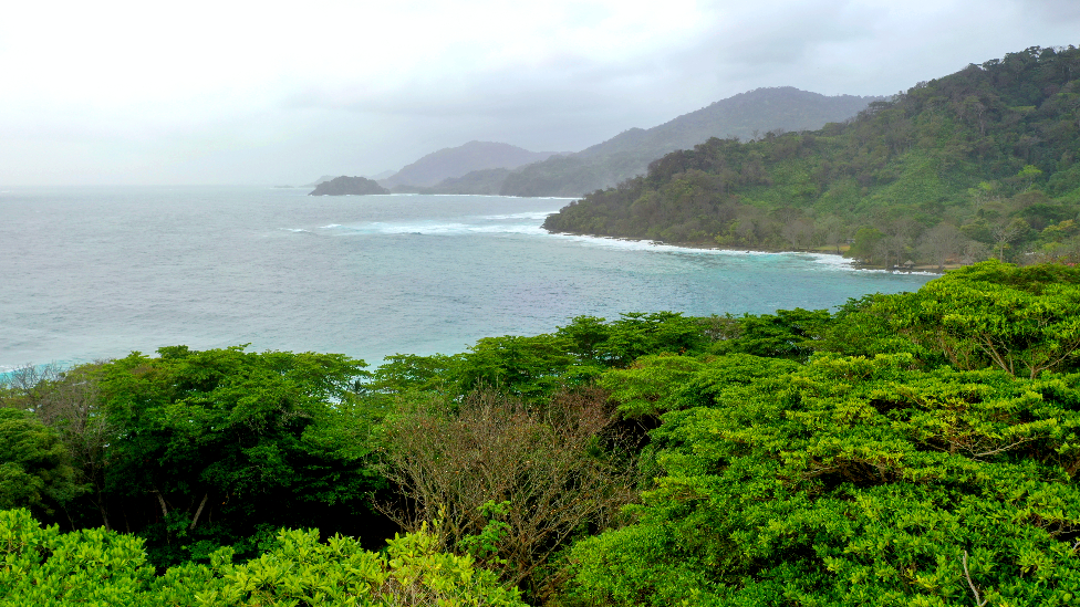 No solo es que la selva es tupida, sino el que viento, la humedad y el salitre, entre otras cosas, hacen el espacio más agresivo que apacible.