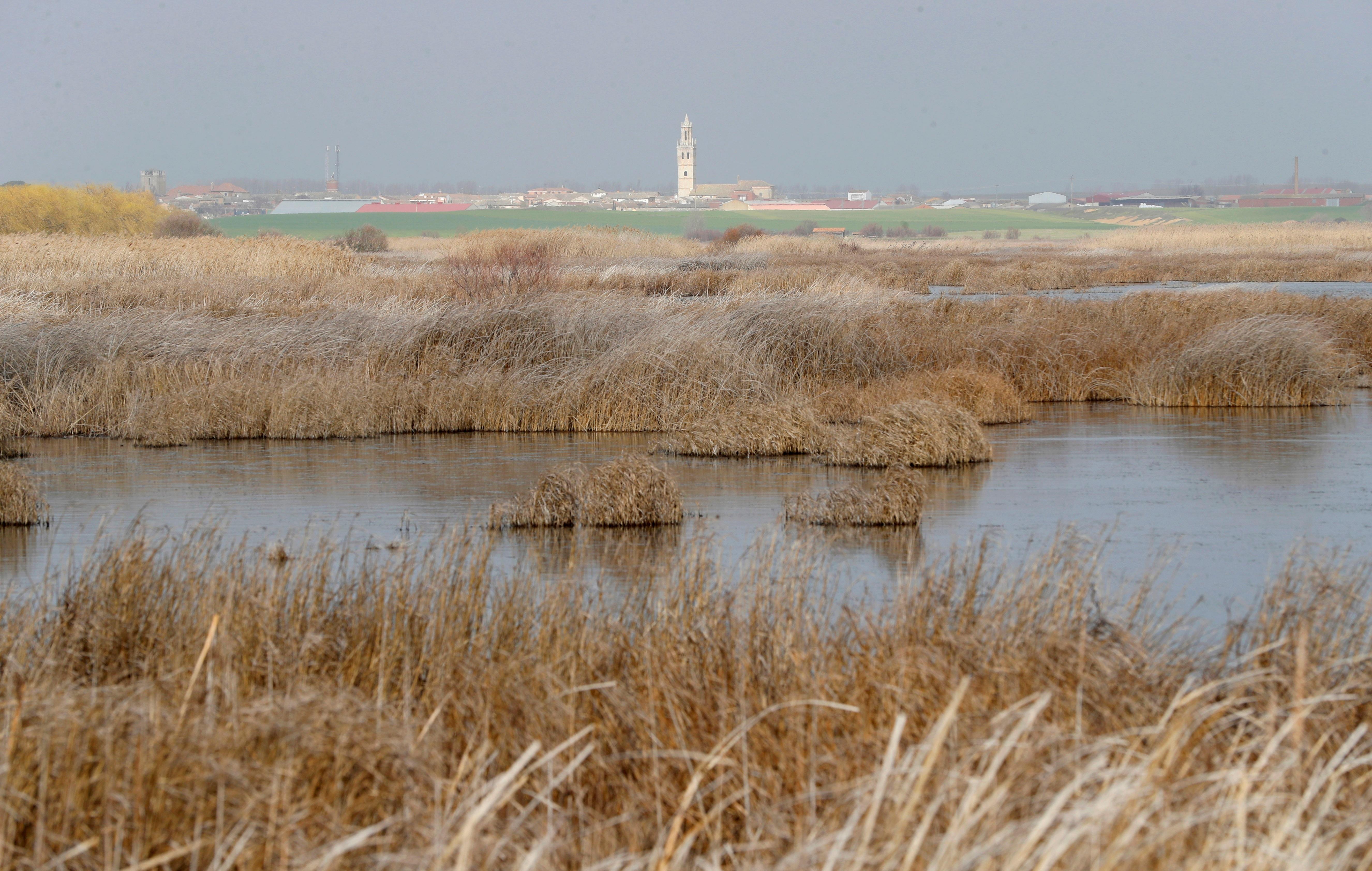 GRAF8551. FUENTES DE NAVA (PALENCIA), 05/03/2021.- Los humedales, considerados tradicionalmente como zonas baldías e insalubres, son en realidad terrenos mediomabientalmente muy valiosos por los múltiples servicios que ofrecen. El estudio y la puesta en valor de estos espacios es uno de los objetivos del Life Wetlands4Climate, con el que se pretende reivindicar el papel de los humedales como sumideros de carbono y reductores de gases de efecto invernadero en la atmósfera. En la imagen, laguna de la Nava de Fuentes, el antiguo Mar de Castilla. EFE/ J.J.Guillen