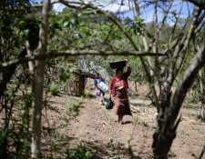Las bandas de tráfico ilícito de migrantes han encontrado su nicho en lugares pobres de las áreas rurales del país. Una mujer en Comitancillo, San Marcos. (Foto Prensa Libre: AFP)