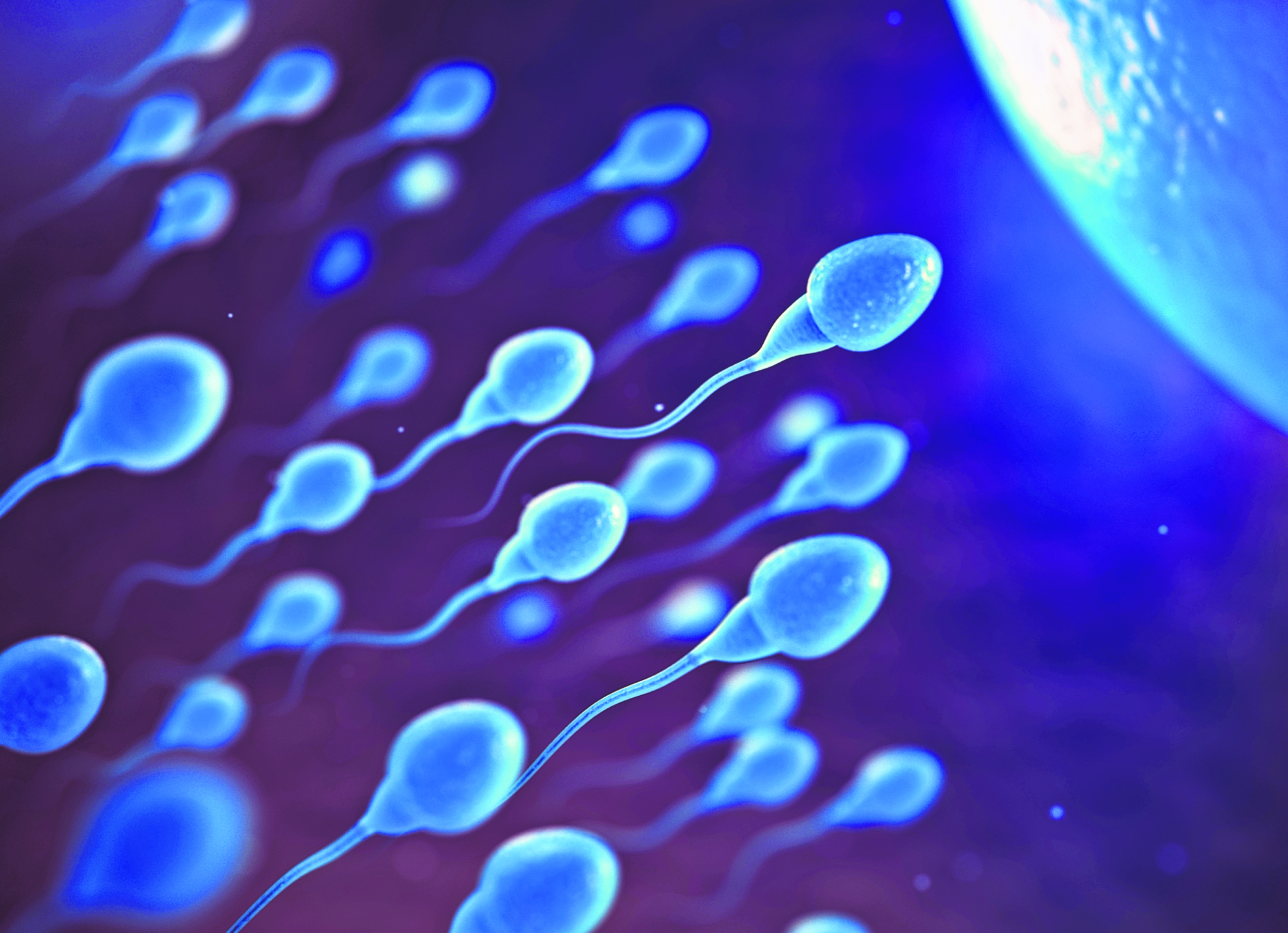 ¿Qué nos están diciendo nuestros espermatozoides?