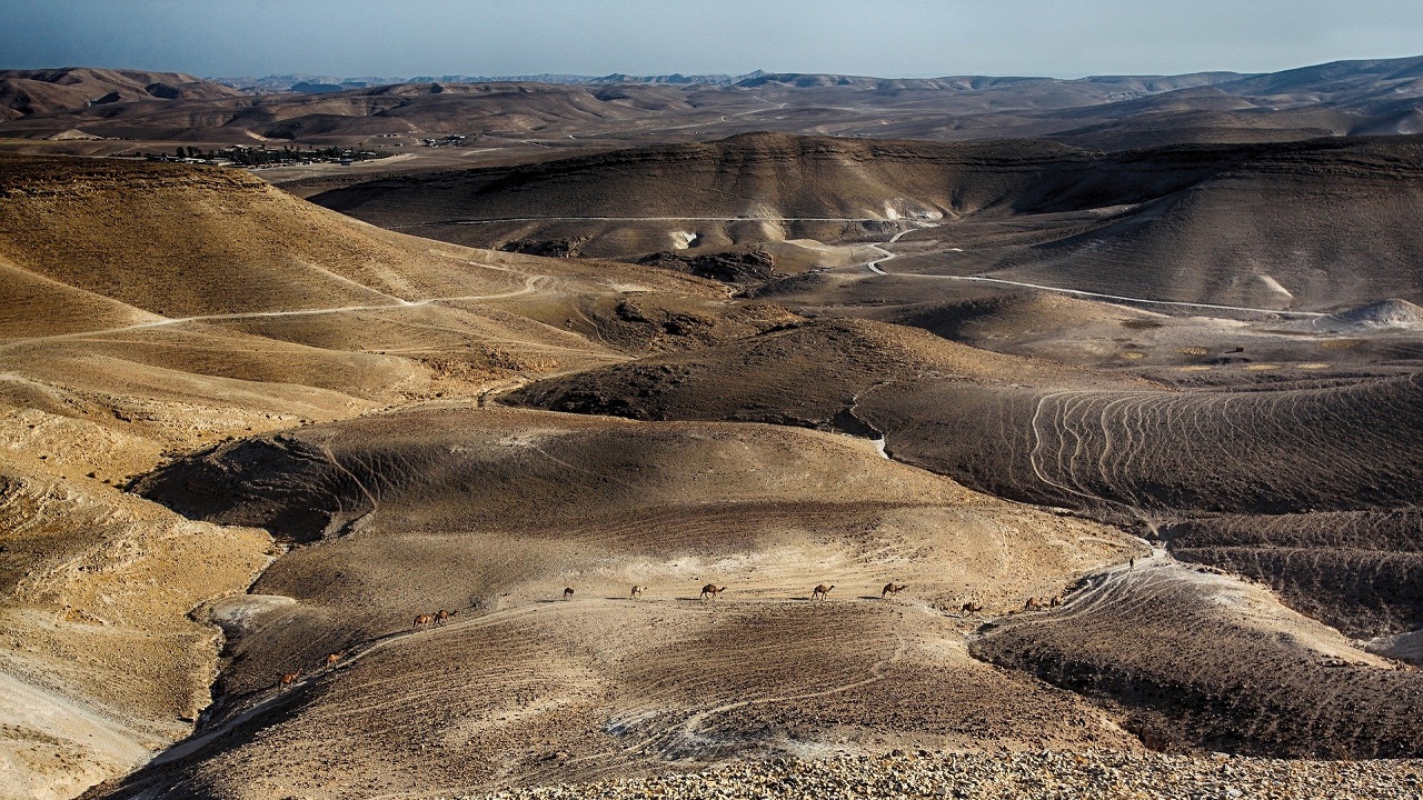 El manuscrito fue descubierto en los acantilados del desierto de Judea por la Autoridad de Antigüedades de Israel. (Foto Prensa Libre: Pixabay)